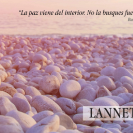Colección Lannete